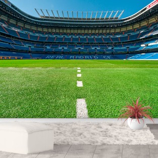 Fotomural o vinilos bernabeu cesped futbol Fotomural o vinilos bernabeu cesped futbol